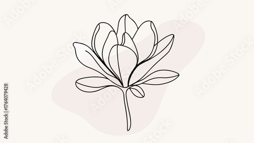 Elegant magnolia bloom line art for delicate designs, perfect for minimalist floral themes and serene botanical projects, expressing natural beauty