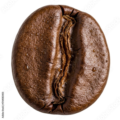 Gleaming coffee bean with dewdrops