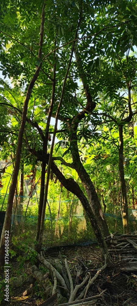 Fototapeta premium Beauty scenery