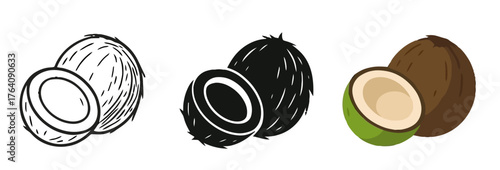 Vector Coconut, 3 versions, outline, silhouette and colored