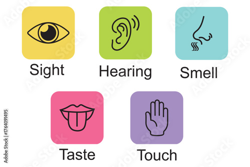 Human senses icon set. Vision eye, smell nose, hearing ear, touch hand, taste mouth with tongue. Simple line icons and black circle. Five senses of human nervous system. Vector illustration. EPS 10.