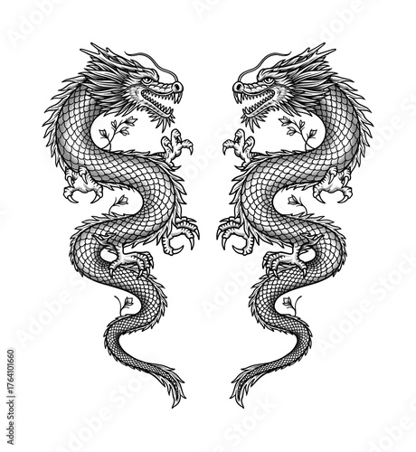 dragon vector illustration