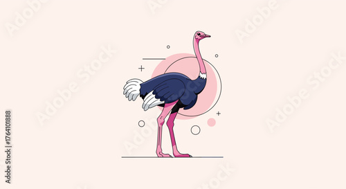 Stylized illustration of a standing ostrich with pink legs and blue body.