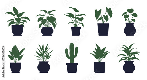 Collection of various potted houseplants and succulents in silhouette.