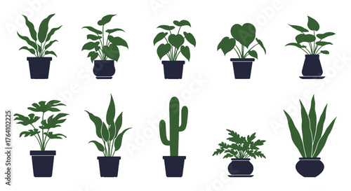 Collection of various potted house plants and succulents in silhouette.