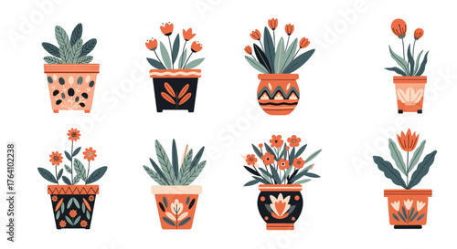 Collection of vibrant potted plants with colorful flowers and decorative pots.