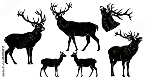 Vector art of set of black silhouette deer with antlers
