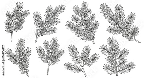 Vector art of collection of handdrawn sketch style fir tree branches and pine needles