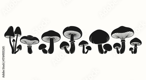 Vector art of assortment of black and white mushroom illustrations in various shapes and sizes