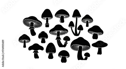 Vector art of silhouette collection of various mushrooms