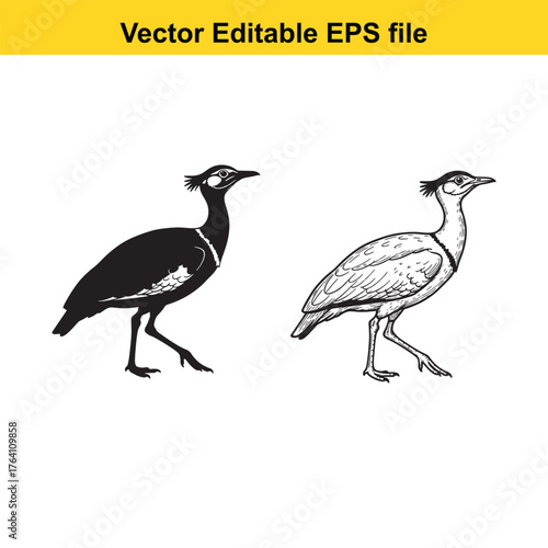 Vector art of silhouette and detailed drawing of a bustard bird in a walking pose