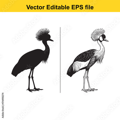 Vector art of black and white illustration of a crowned crane in silhouette and detailed drawing