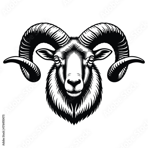 vector illustration of a goat