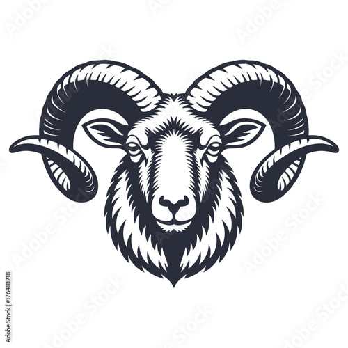vector illustration of a ram
