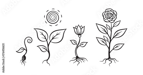 Open up paths. Stroke is editable. Thickness can be customized. The life process of young plants.