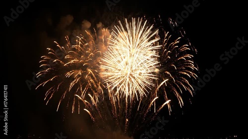 Bright Colorful Fireworks Exploding in Night Sky During Celebration