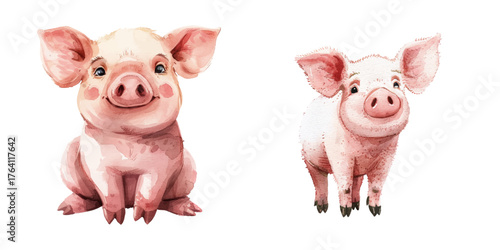 cute pig watercolor vector illustration
