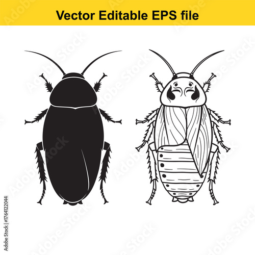 Vector art of two cockroaches, one black silhouette and one detailed line drawing