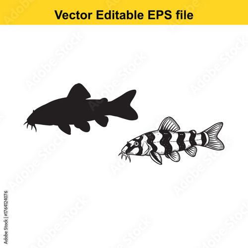 Vector art of two fish, one black silhouette and one detailed illustration