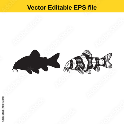Vector art of two fish, one black silhouette and one detailed illustration