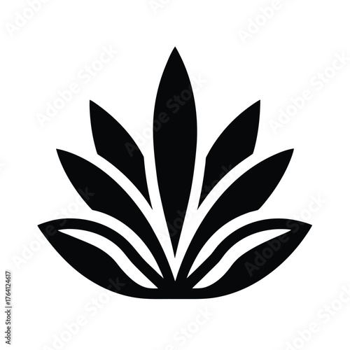 Water Plantain Arrangement Icon Vector Illustration