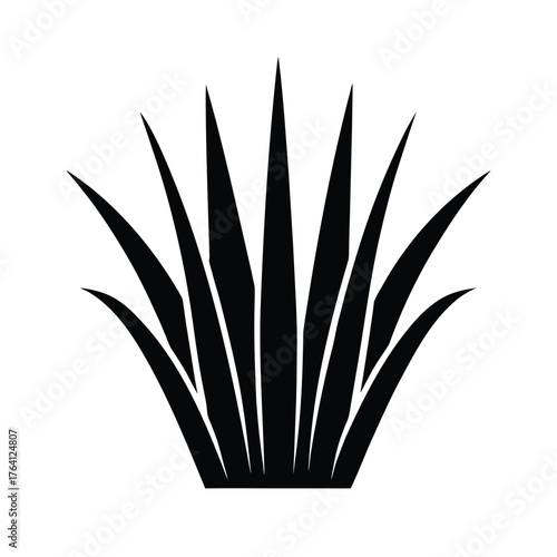 Sedge Arrangement Icon Vector Illustration