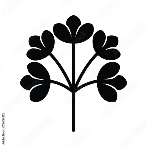 Water Pennywort Arrangement Icon Vector Illustration