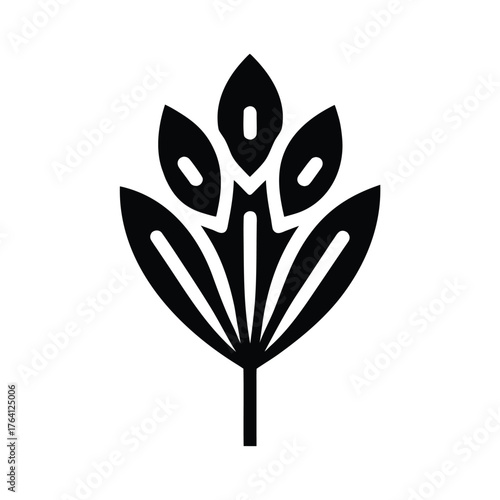 Water Parsnip Seed Border Icon Vector Illustration
