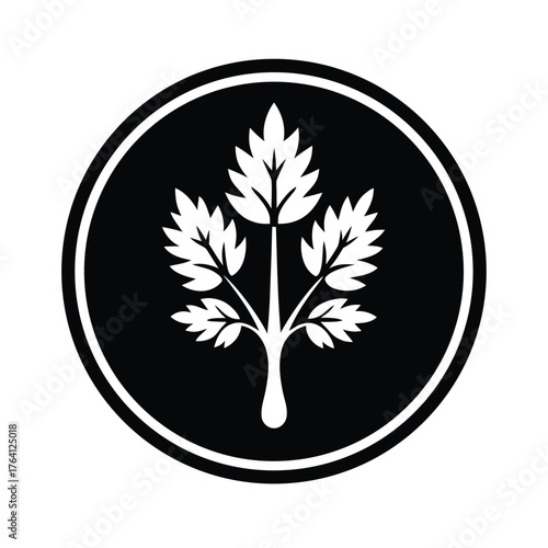 Water Celery Seed Border Icon Vector Illustration