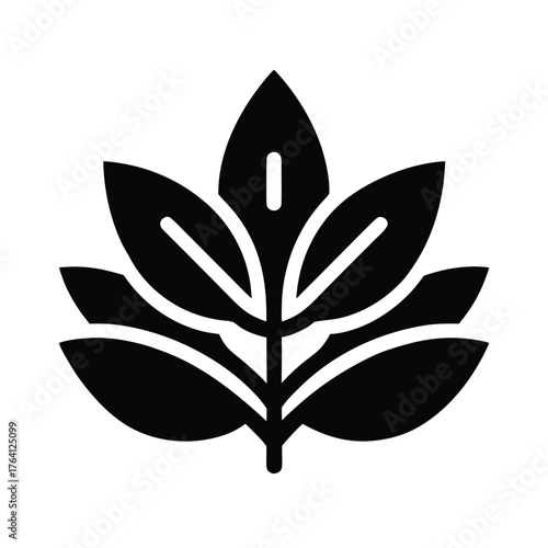 Water Primrose Seed Border Icon Vector Illustration