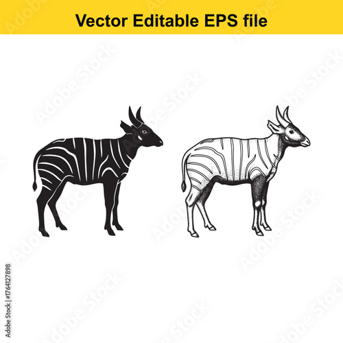 Vector art of two bongo antelopes, one in silhouette and one with detailed stripes, standing side by side isolated on a