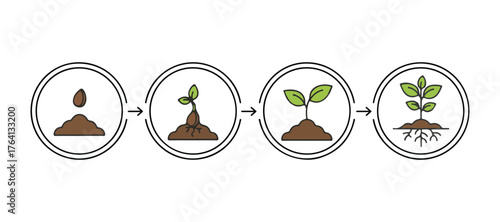 Sowing seeds into the soil. A visual guide to growing a sapling. Gardening with seedlings for trees. Icon, flat design on a white backdrop. Vector graphic.
