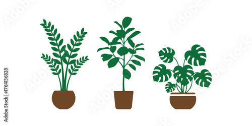 Collection of indoor plant silhouettes in pots. Includes Zamiokulkas Dollar Tree, Ficus, and Monstera in pots. Flat style vector icons of indoor flowers. Vector illustration