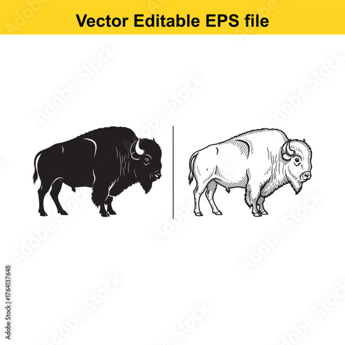 Vector art of two bison, one in silhouette and one in sketch style