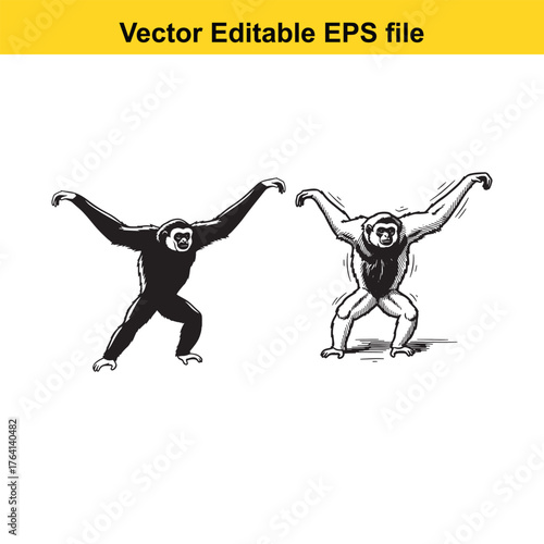 Vector art of two gibbons in different poses, one black silhouette and one detailed sketch