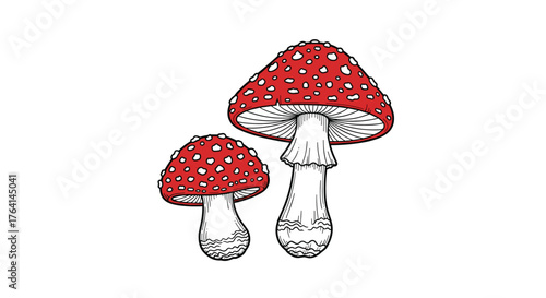Two vibrant red and white spotted toadstools stand tall, a classic symbol of natures whimsical beauty.