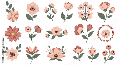 A beautiful set of isolated hand drawn vintage floral elements.