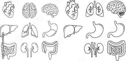 Set of Human Internal Organs Line Art Icons