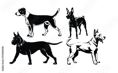 Vector Set of Various Dog Poses