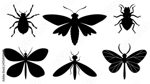 Black silhouette of various insects including beetles and butterflies on white