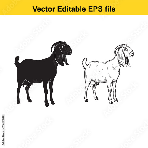 Vector art of two goats, one black silhouette and one detailed sketch