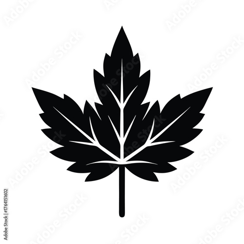 Water Hemlock Leaf Icon Vector Illustration