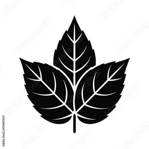 Water Mint Leaf Icon Vector Illustration