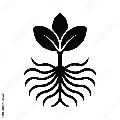 Watercress Root Icon Vector Illustration