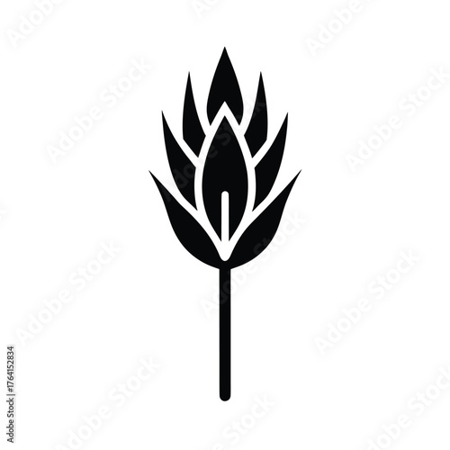 Papyrus Bud Icon Vector Illustration