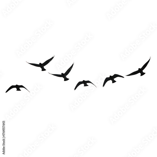 Silhouetted birds gracefully fly in dark sky formation