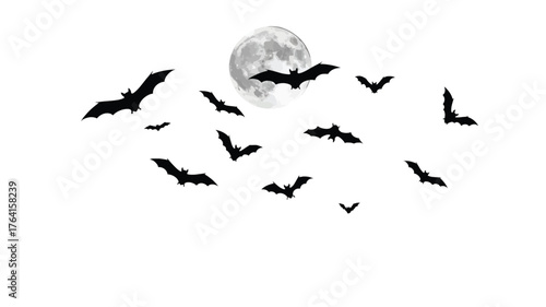 Silhouetted bats flying in the night sky with a full moon a spooky illustration for Halloween designs and decorations