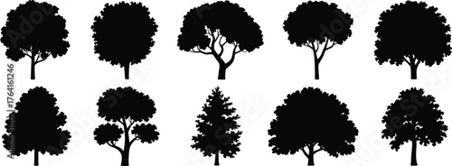 Black tree silhouette collection, diverse tree shapes, natural forest icons, landscape design elements, botanical illustration set, isolated vector trees, nature graphic art bundle
