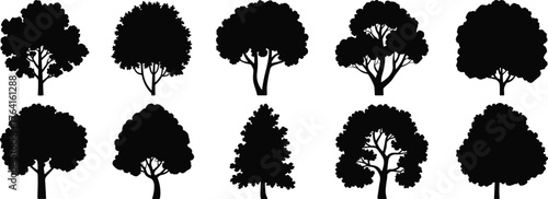 Silhouette tree collection, diverse forest shapes, natural foliage outlines, landscape design elements, black botanical illustration, isolated woodland icons, seasonal vegetation variety,