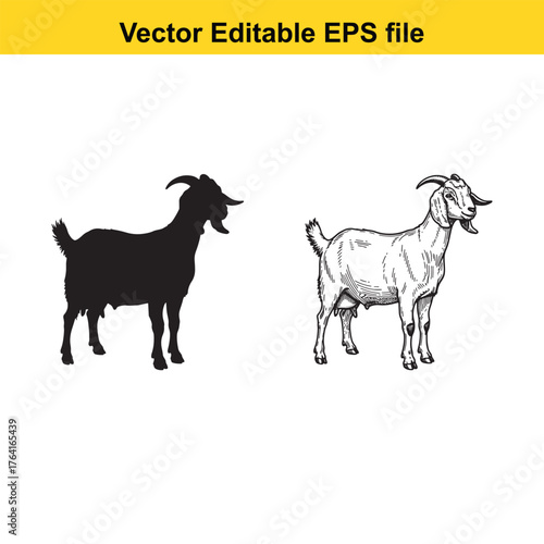 Vector art of two goats, one black silhouette and one detailed drawing